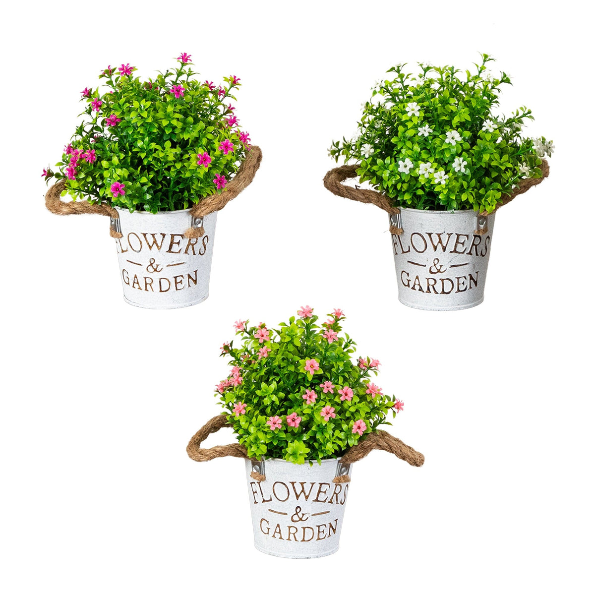 a group of potted plants