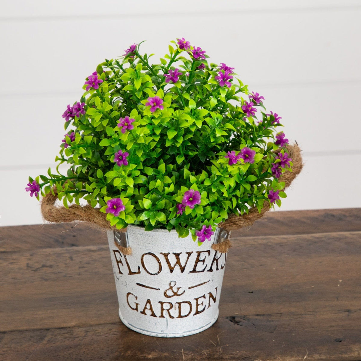 a potted plant with purple flowers
