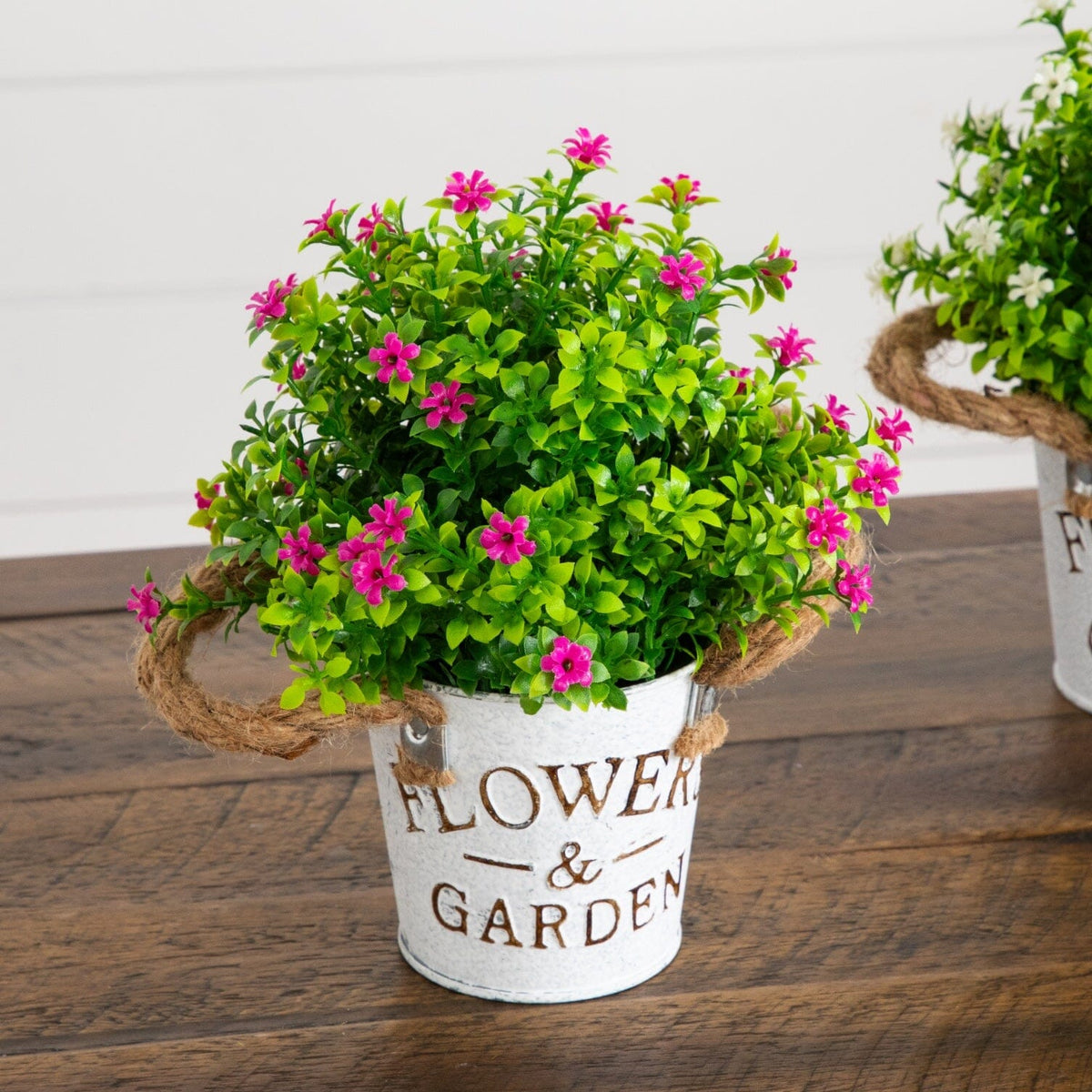 a potted plants with pink flowers