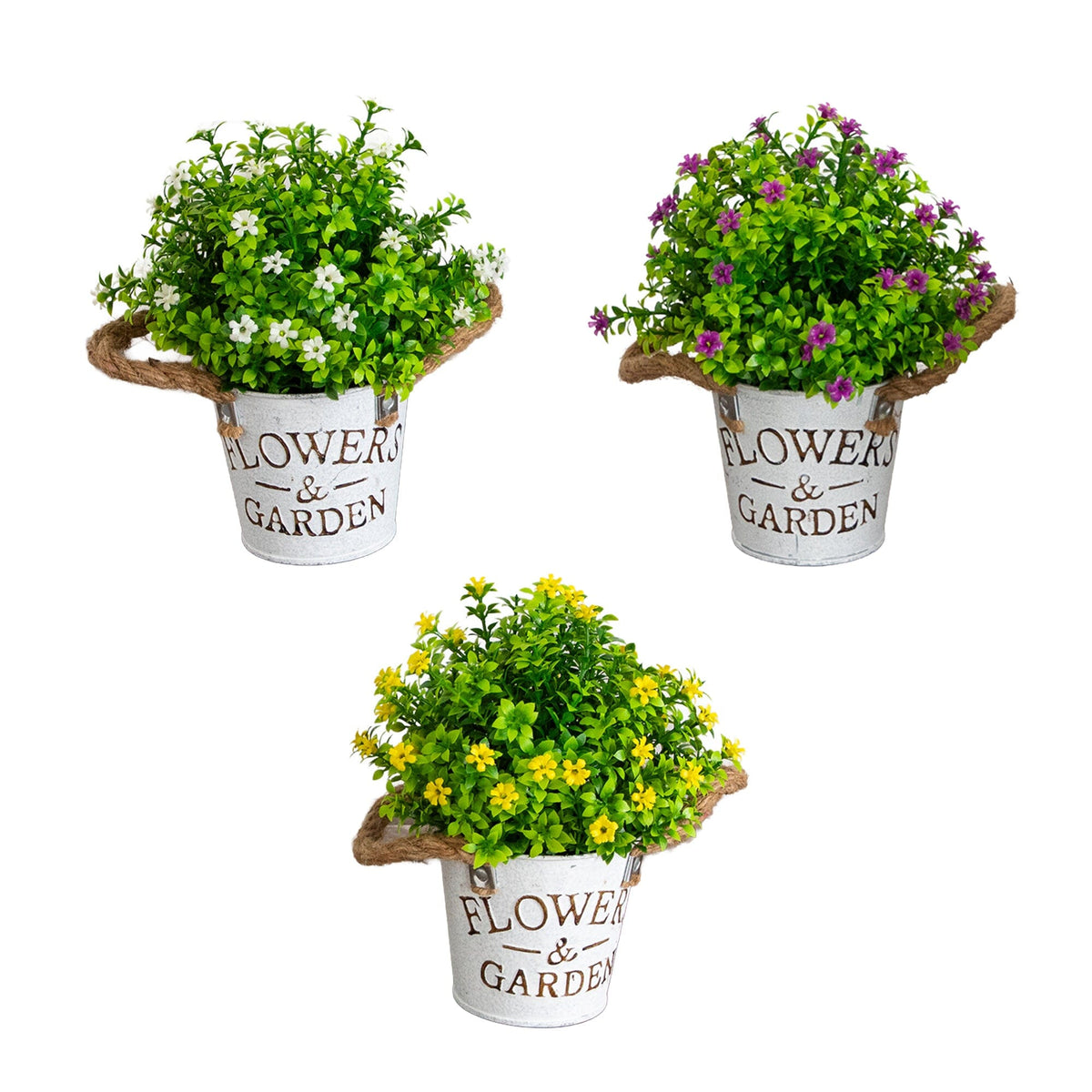 a group of potted plants