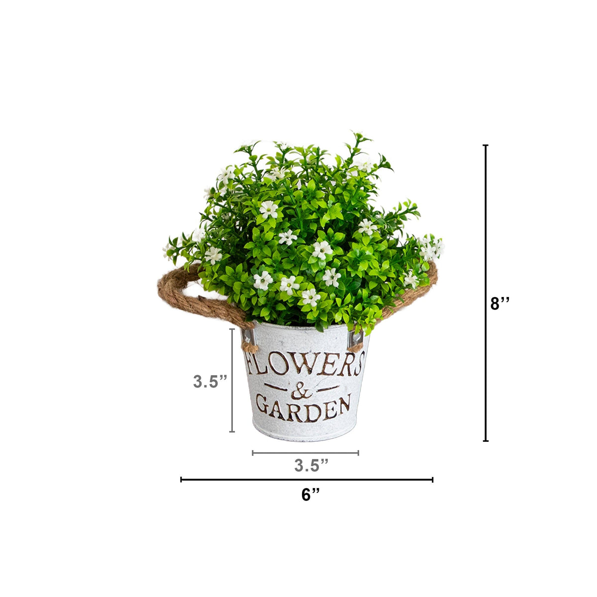 a plant in a bucket with a size of the size of it