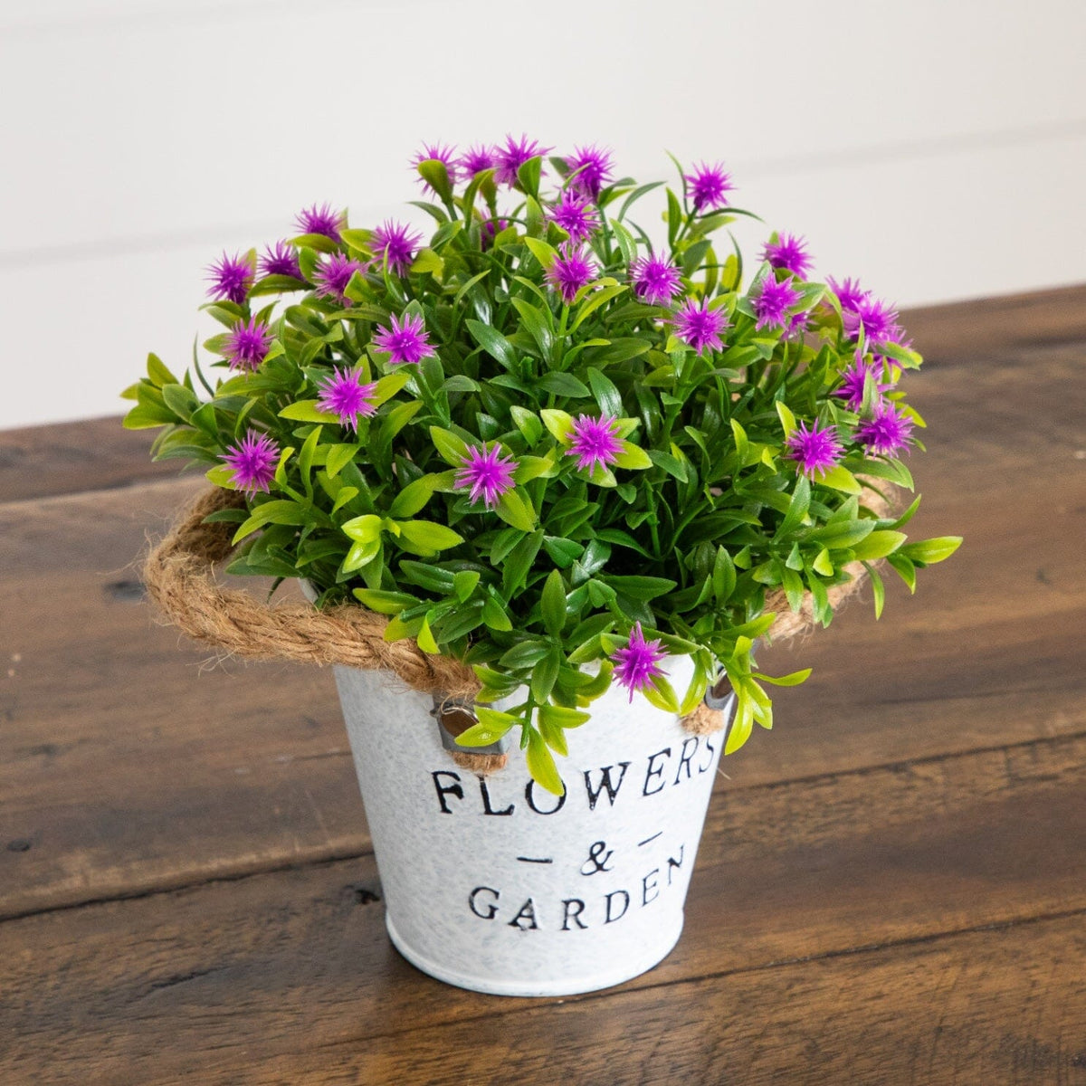 a potted plant with purple flowers
