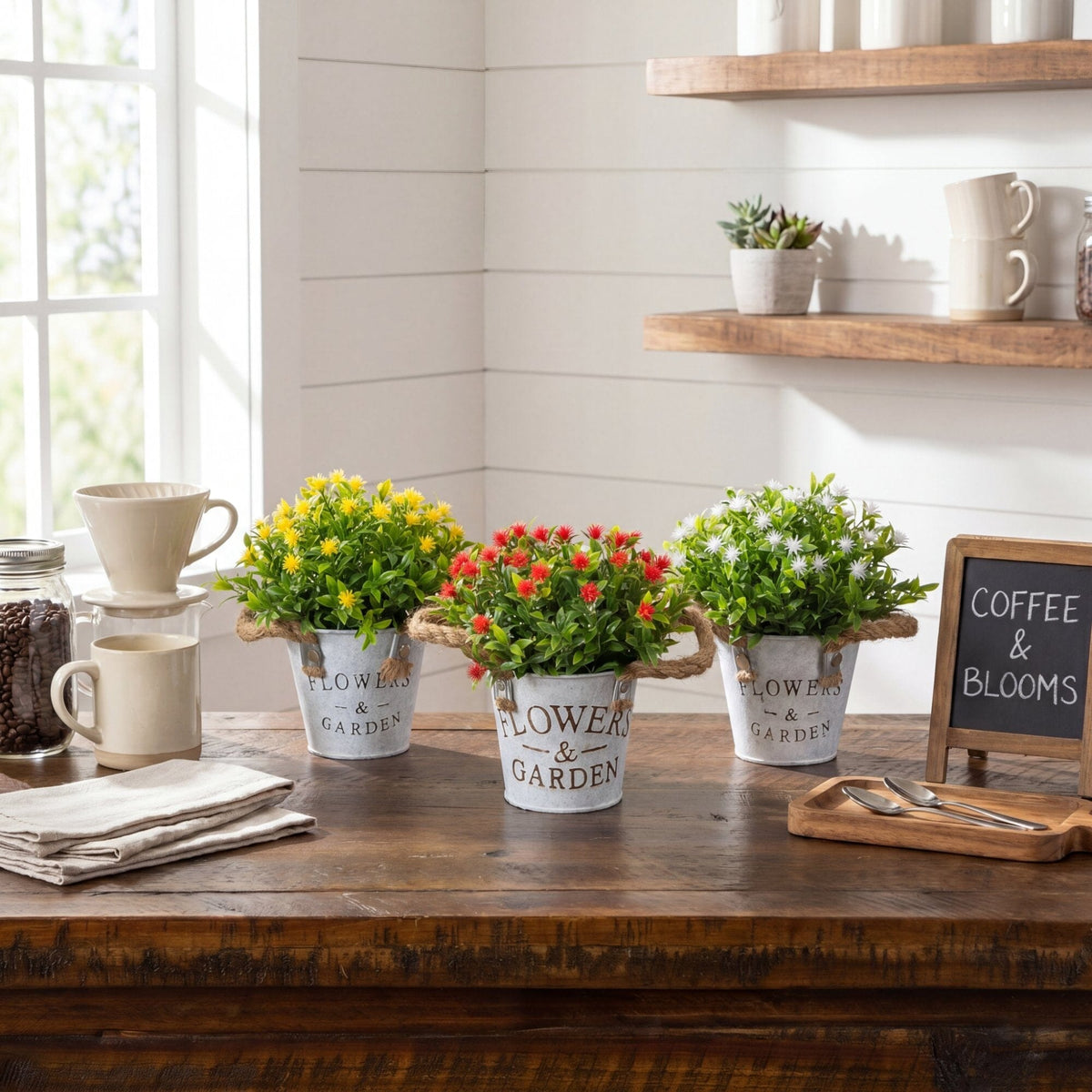 a group of potted plants on a table
