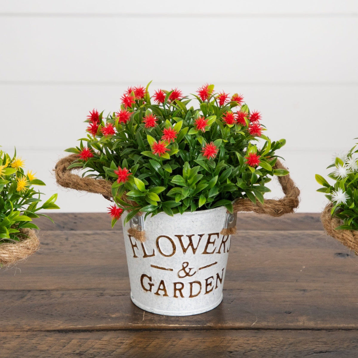 a group of plants in a bucket