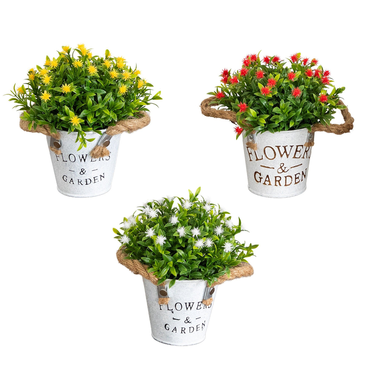 a group of plants in buckets