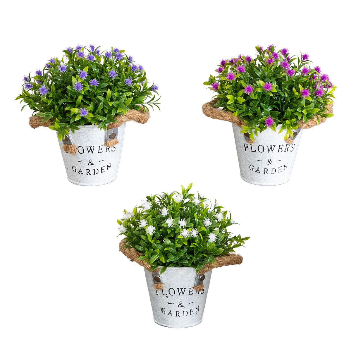 a group of potted plants