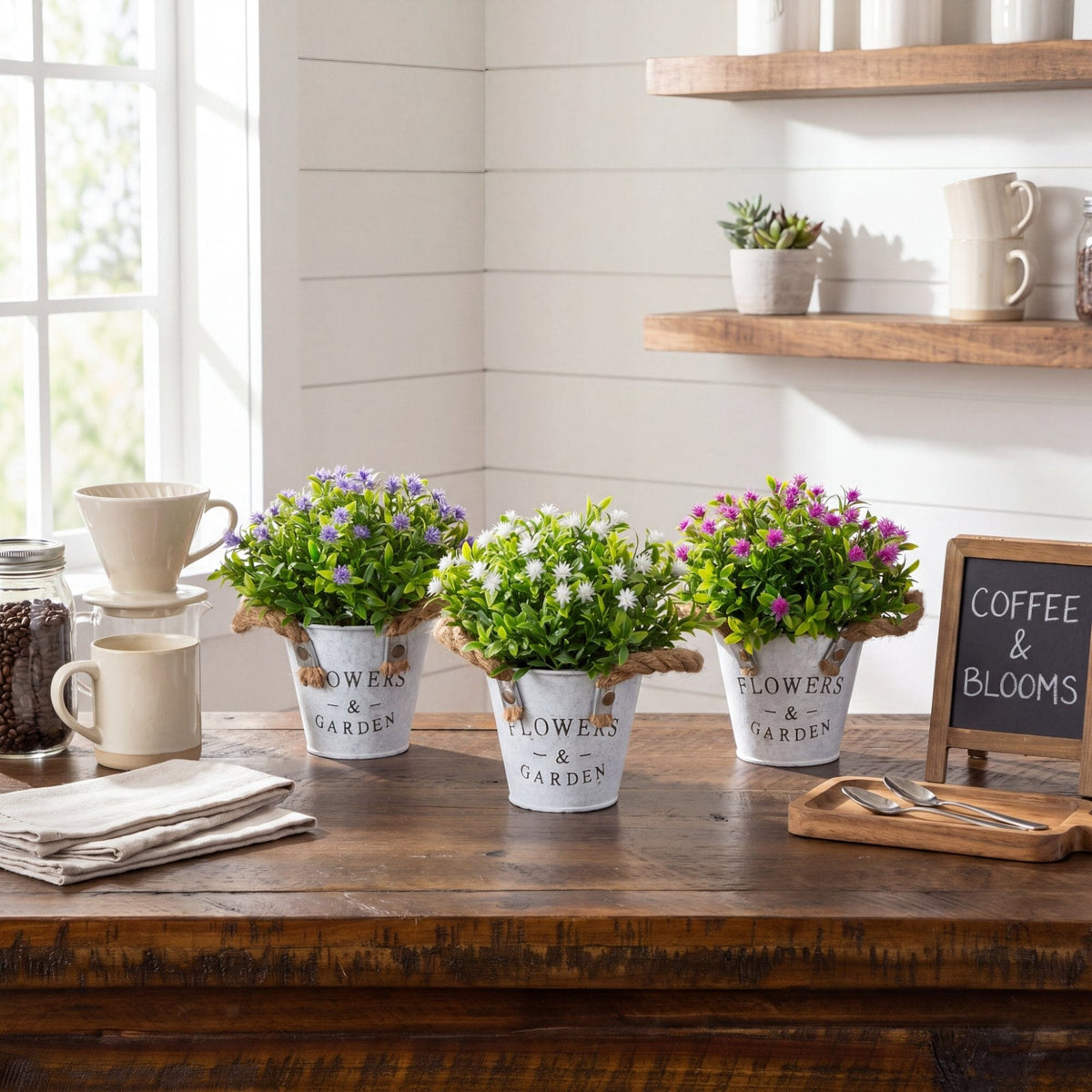 a group of potted plants on a table