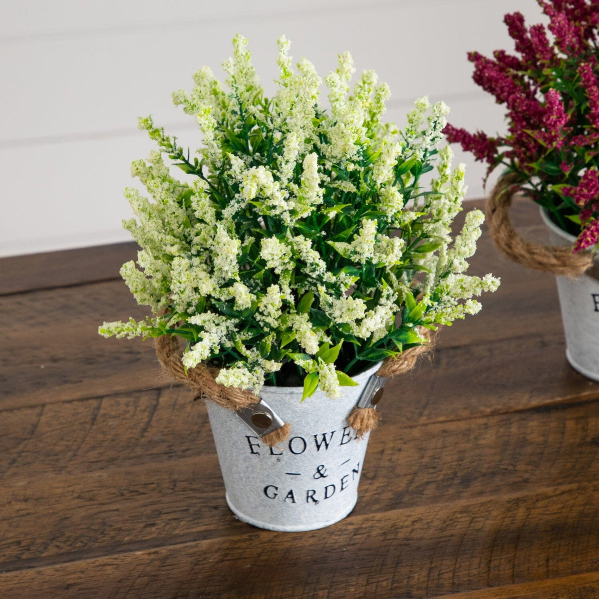 a potted plant with flowers
