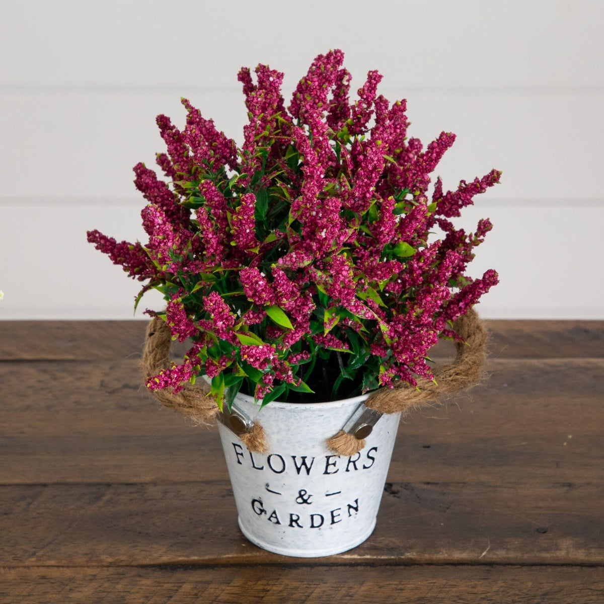 a potted plant with purple flowers