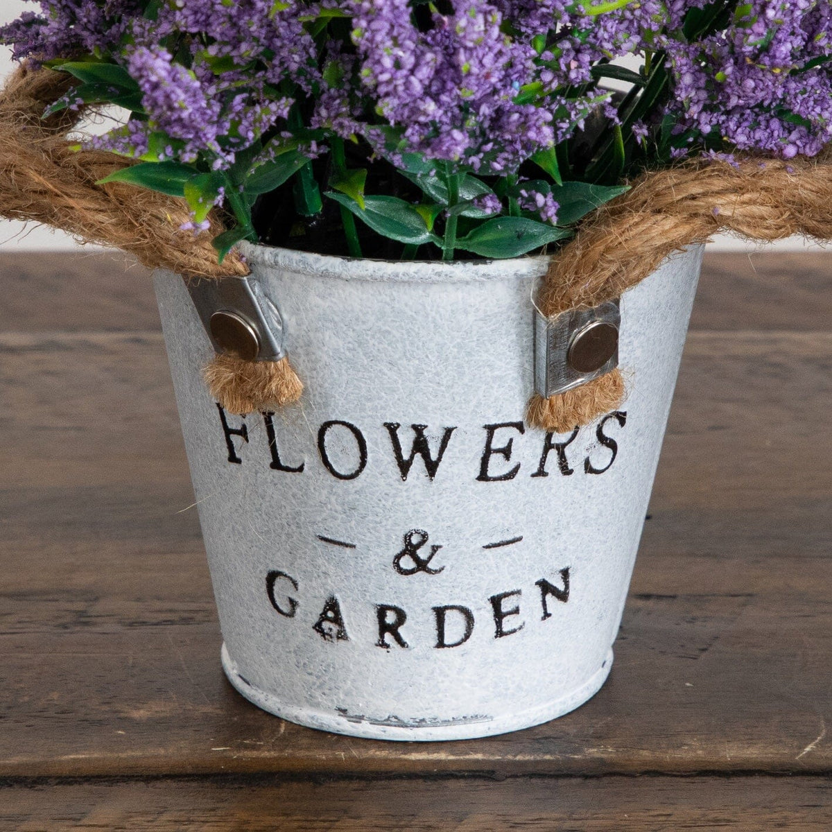 a pot of purple flowers