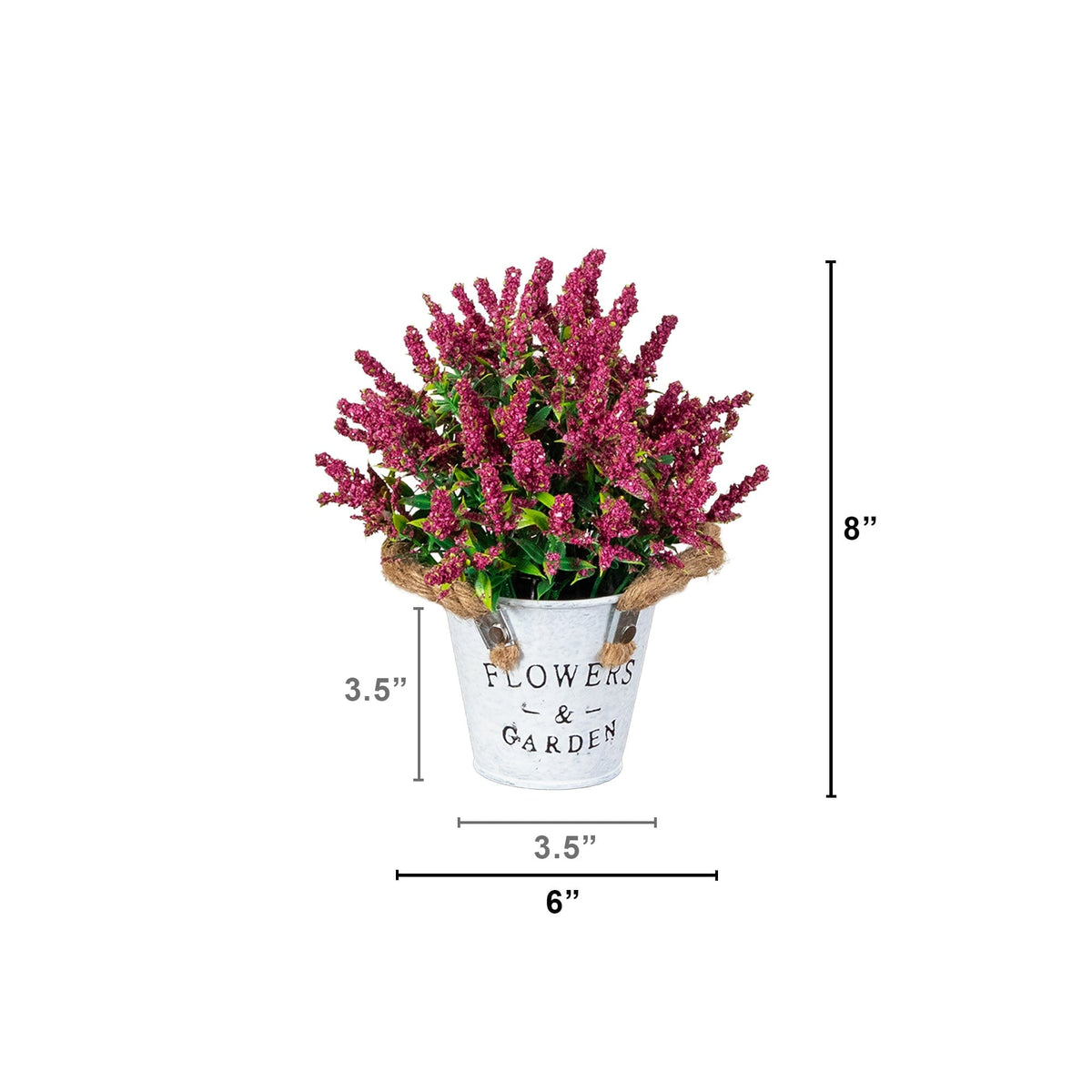 a plant in a pot