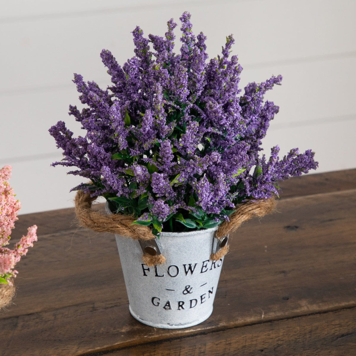 a potted plant with purple flowers