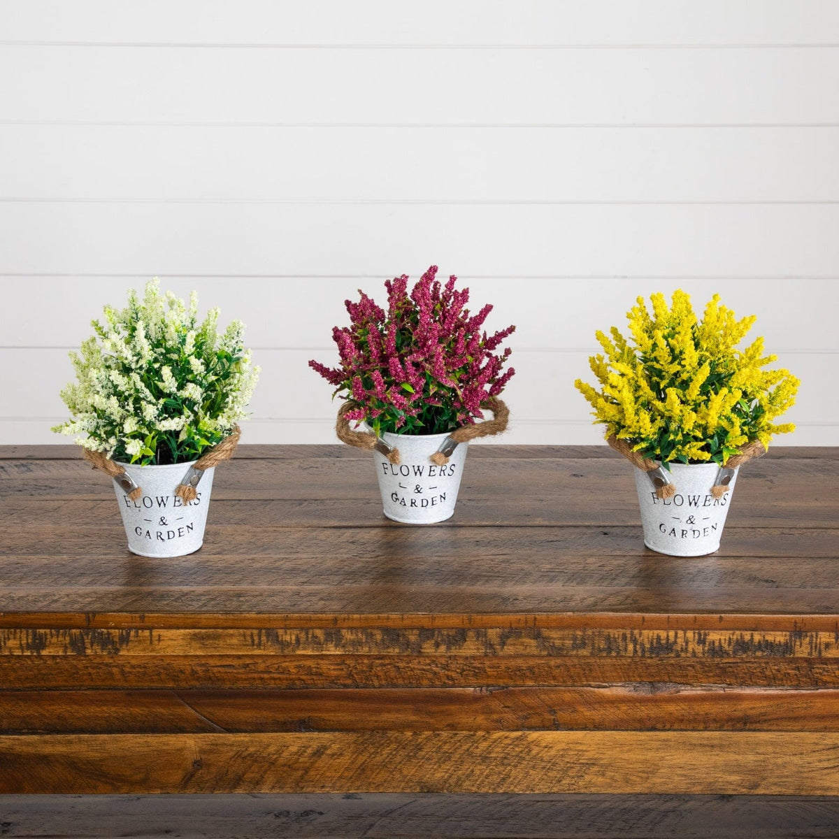 a group of colorful flowers in small buckets