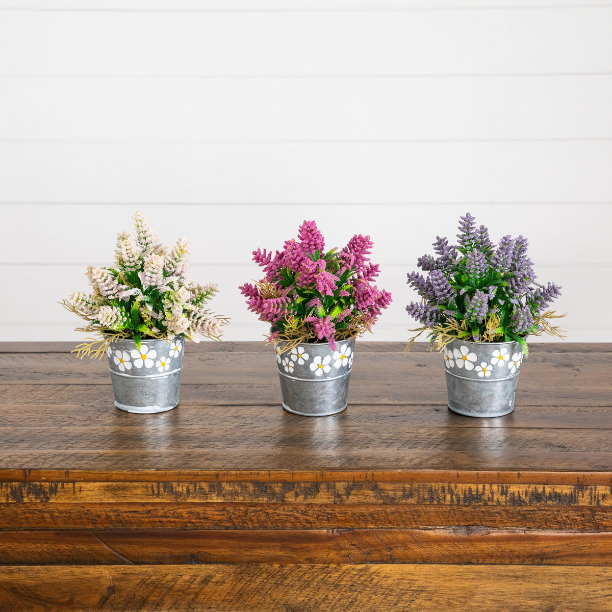 a group of small flowers in buckets