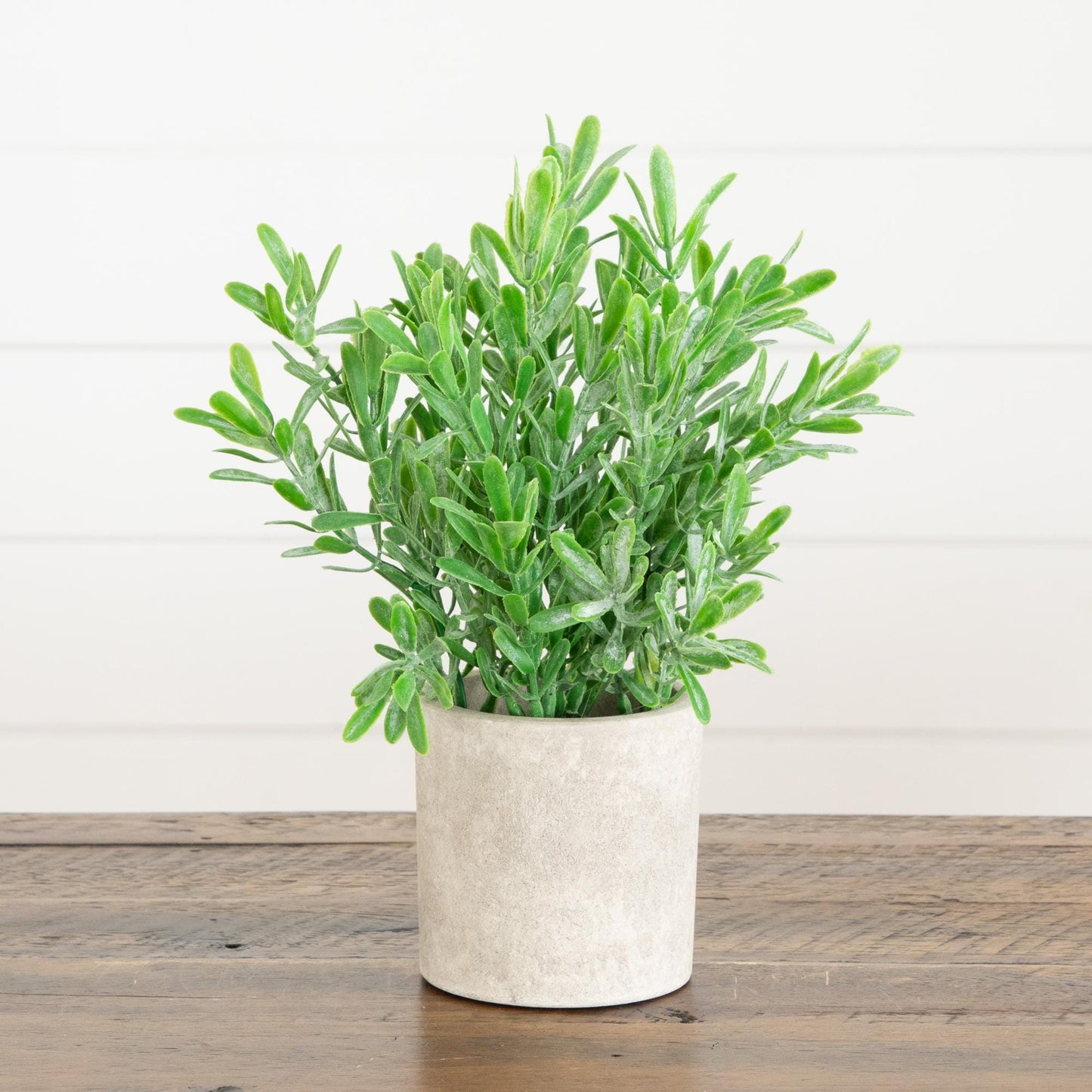 8" Artificial Mixed Plant in Decorative Planter - Set of 3