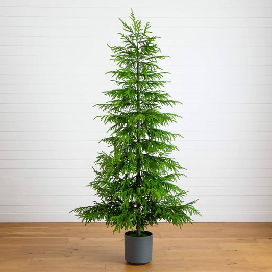8' Artificial Real Touch Norfolk Island Pine Christmas Tree with Natural Look