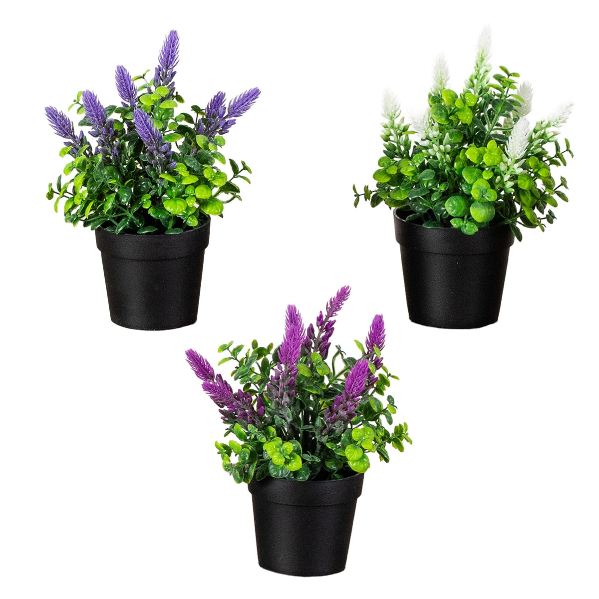 a group of potted plants