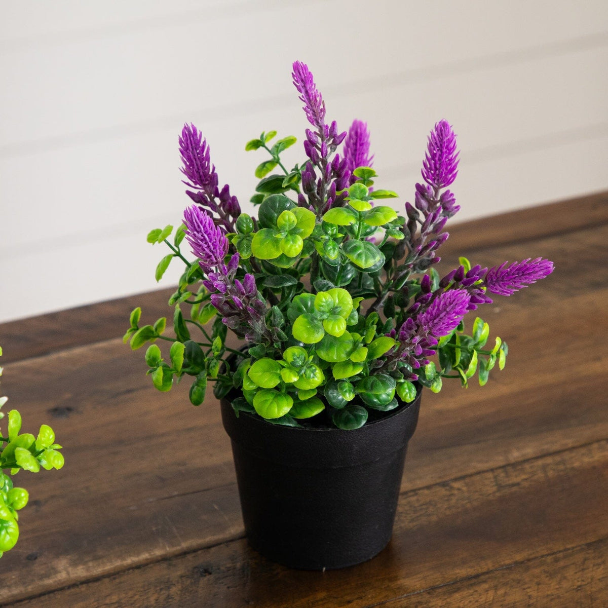 a potted plant with purple flowers