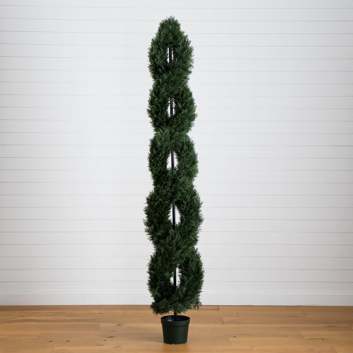 a plant in a pot