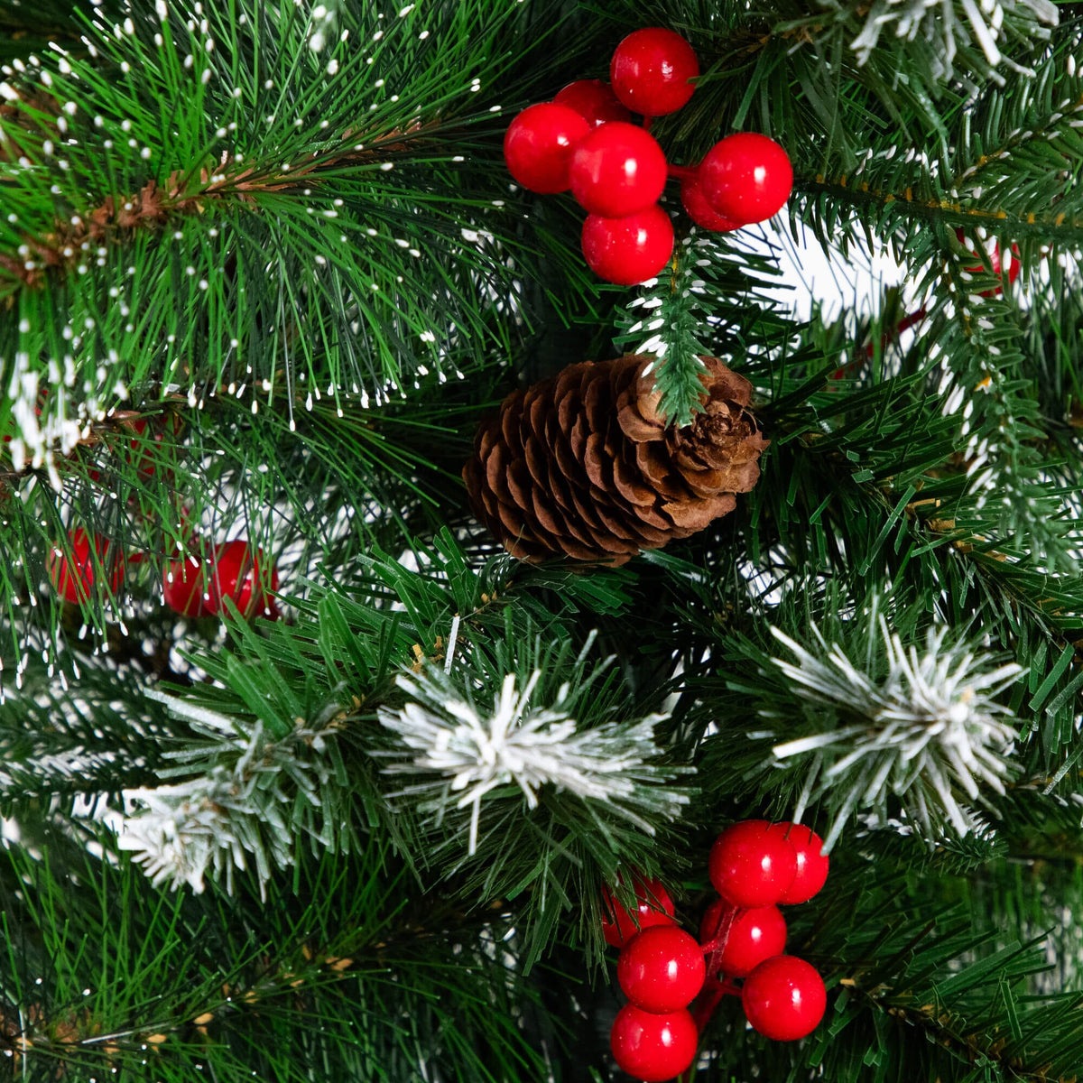 a pine cone and berries on a tree