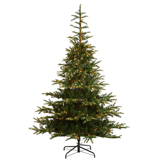 a christmas tree with lights