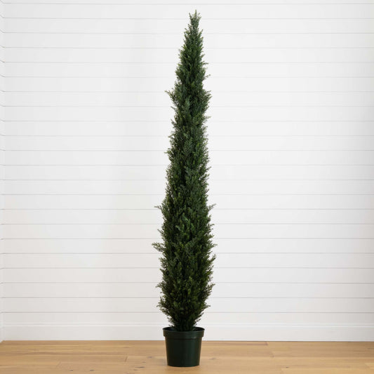 a tall tree in a pot
