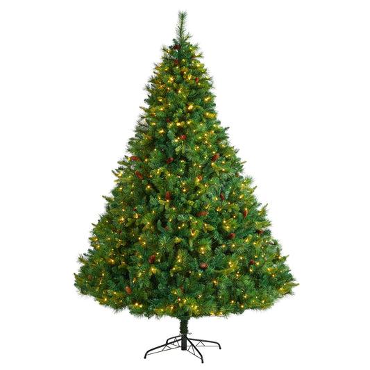 a christmas tree with lights