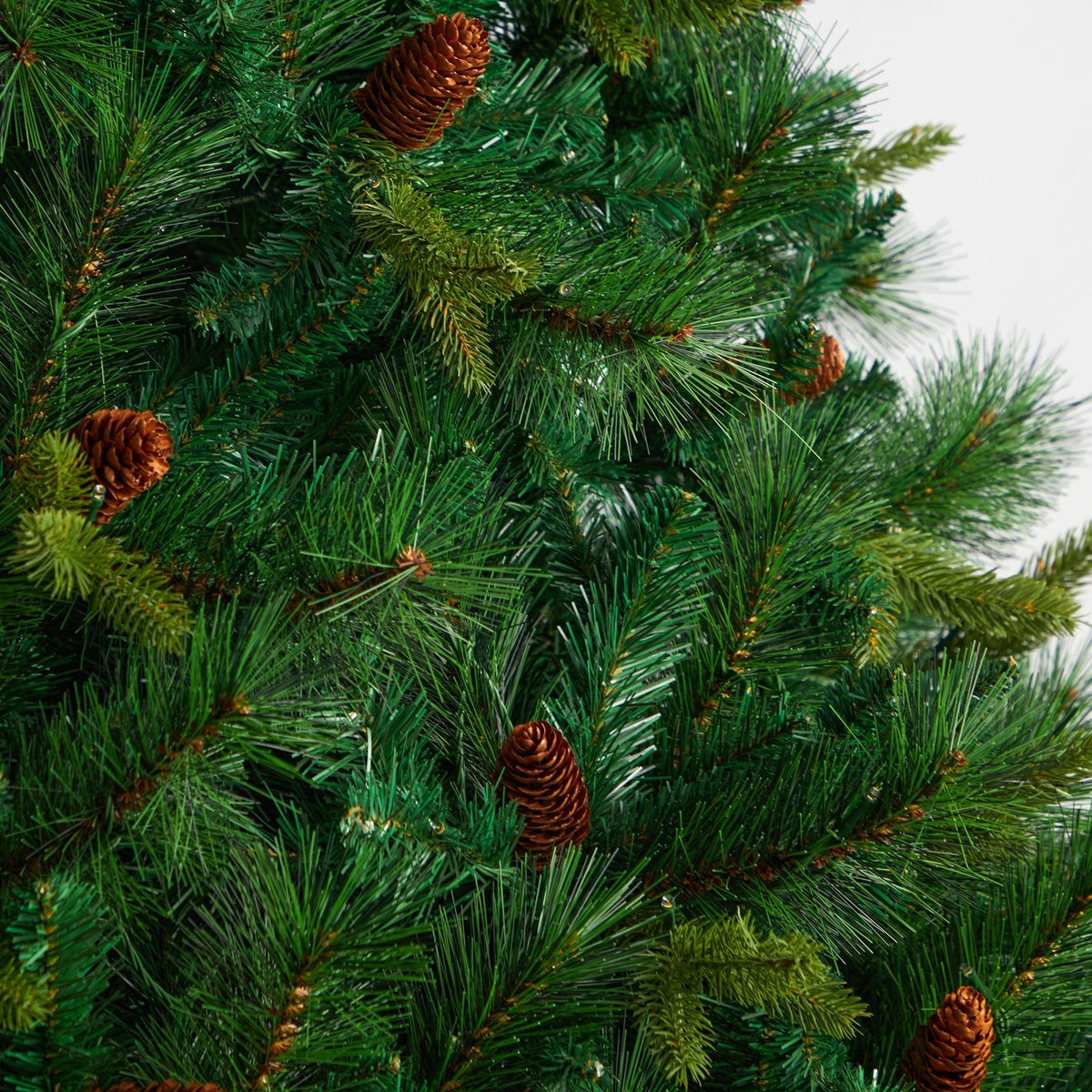 a close up of a christmas tree