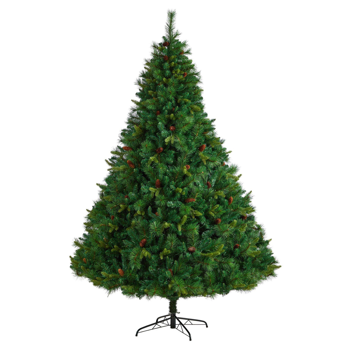 a christmas tree with lights