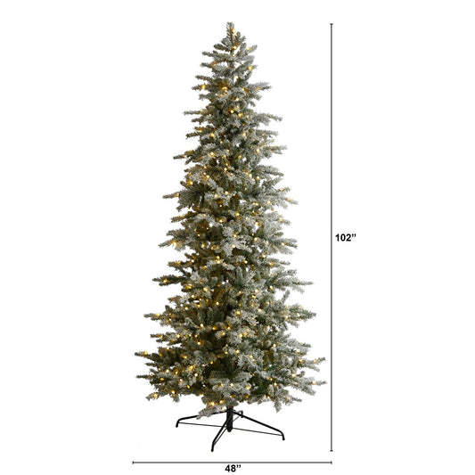 a christmas tree with lights