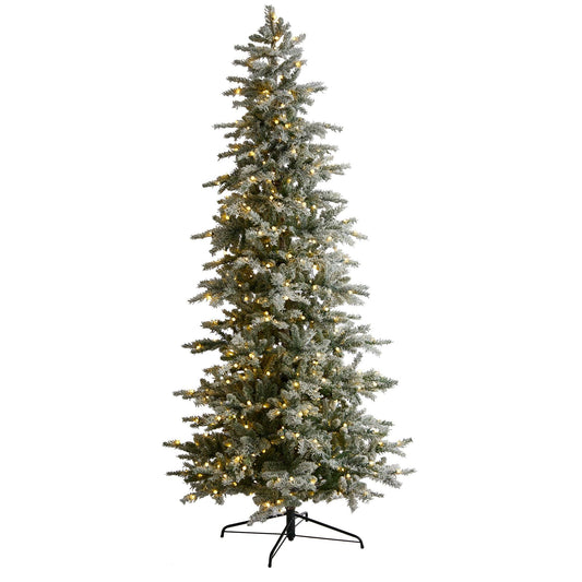 a christmas tree with lights