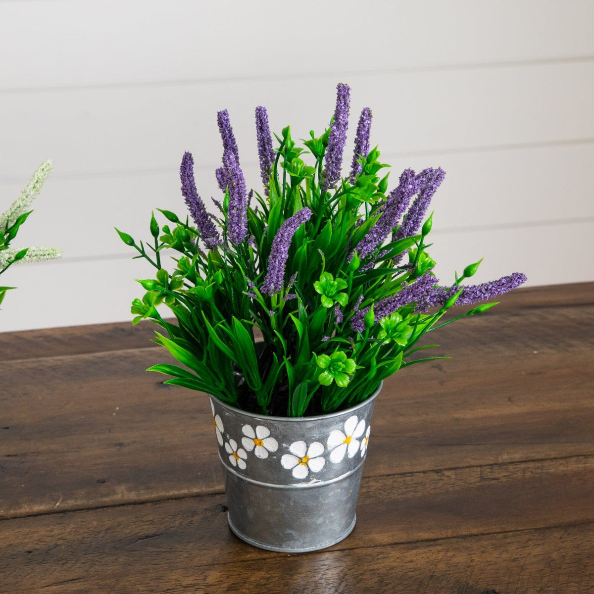 a potted plant with purple flowers