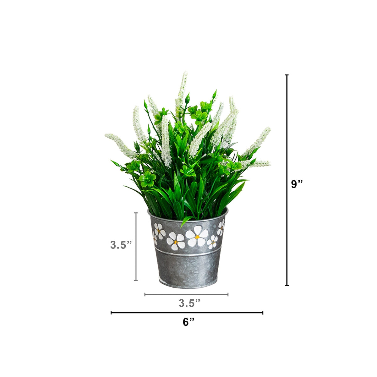 a plant in a pot with size