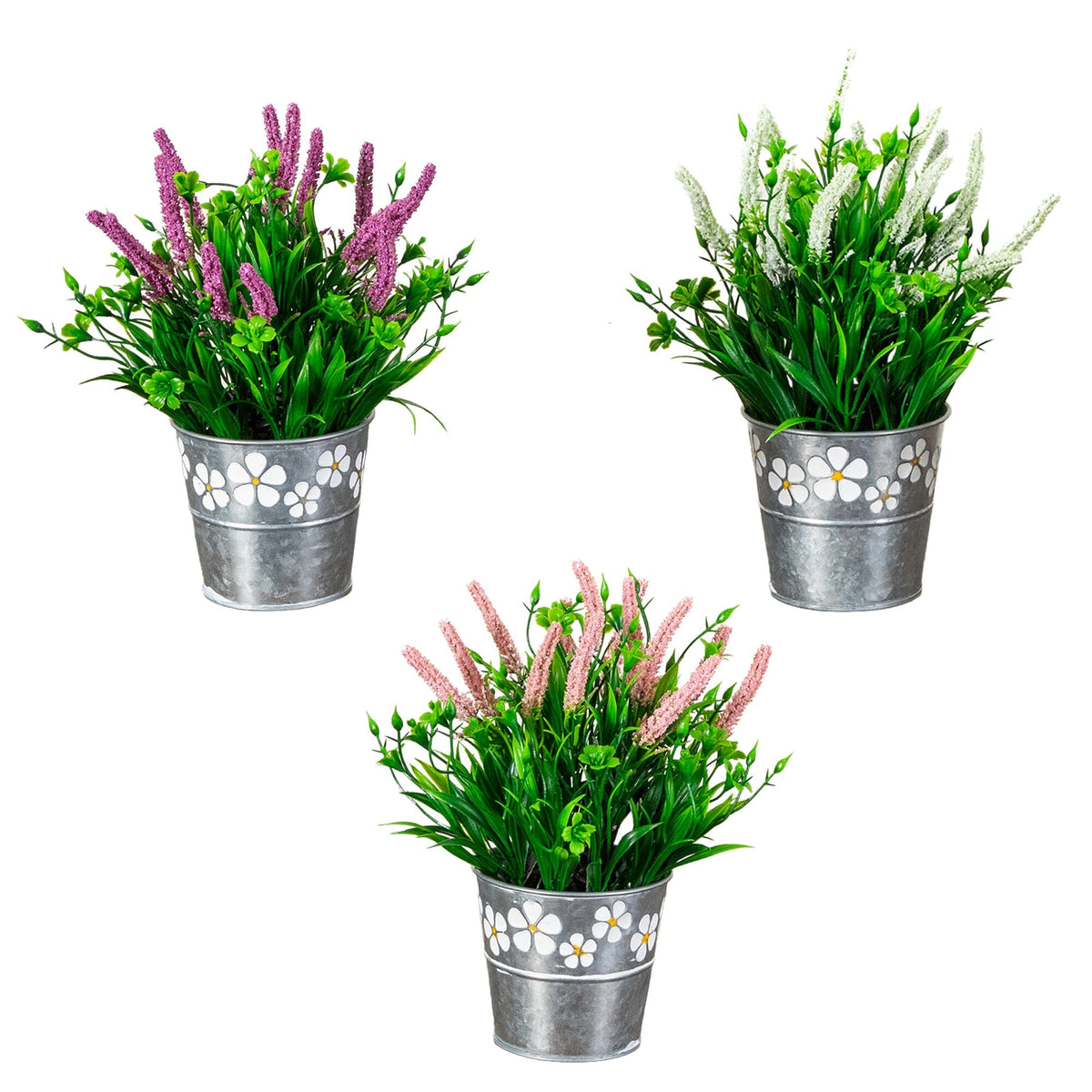 a group of plants in buckets