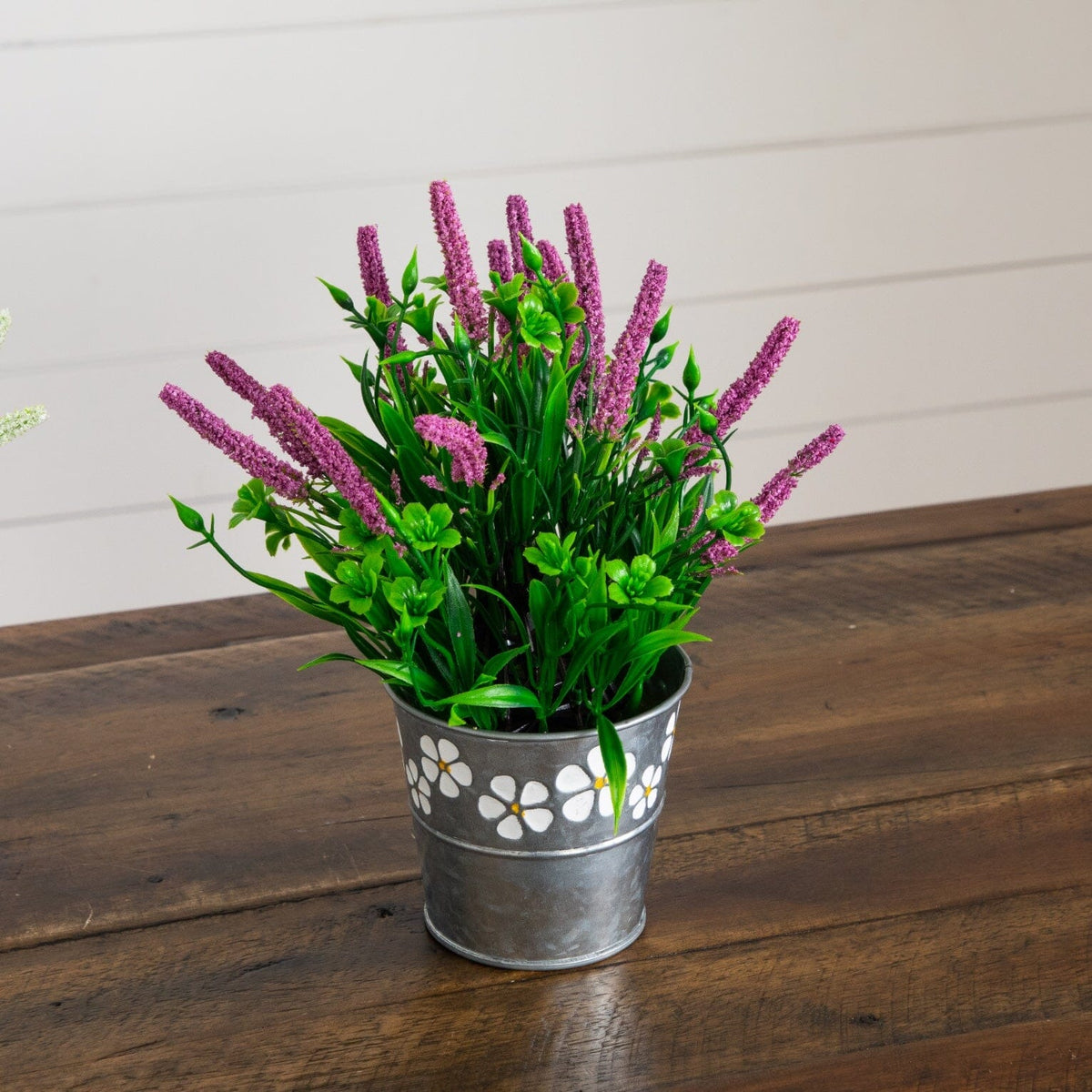 a potted plant with purple flowers