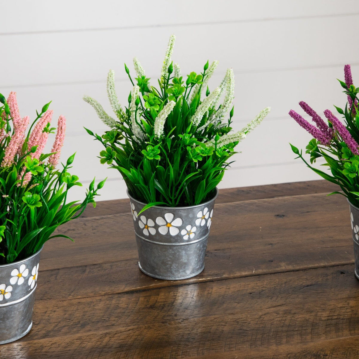 a group of plants in metal buckets