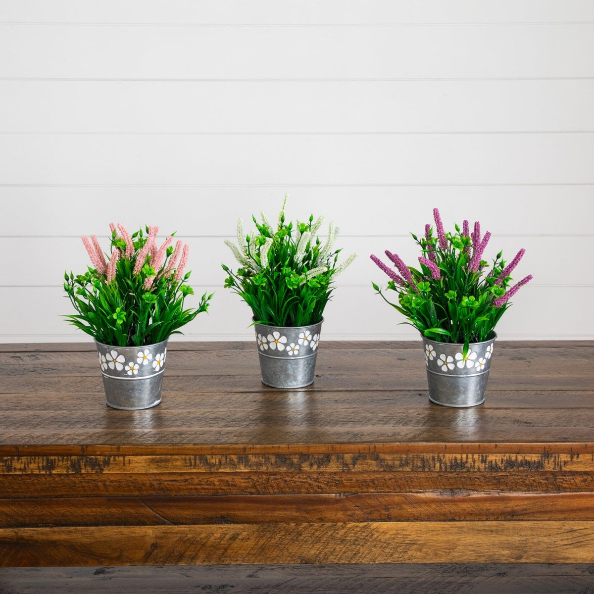 a group of plants in buckets on a table