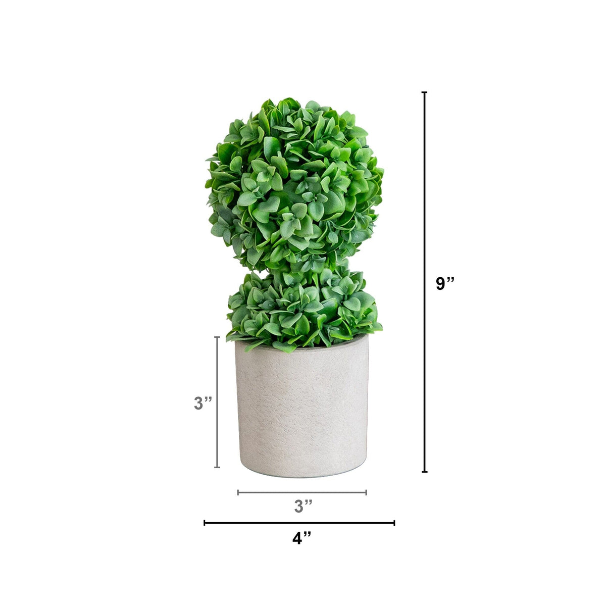 a small plant in a pot
