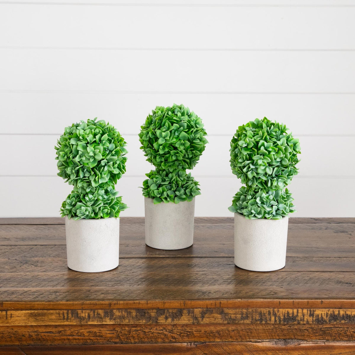 a group of plants in pots