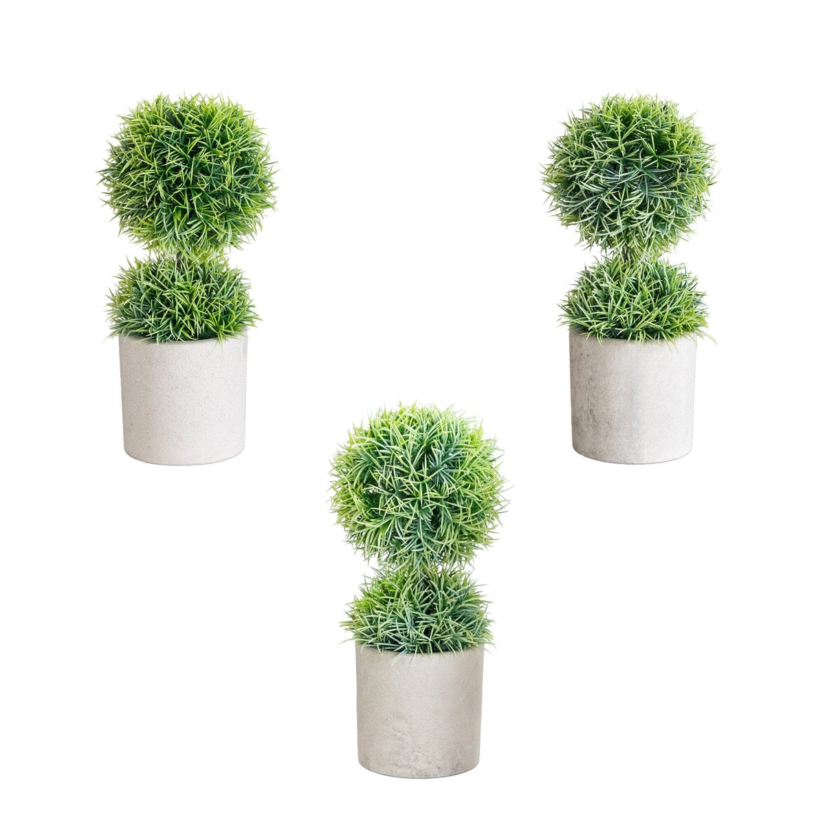 a group of plants in pots