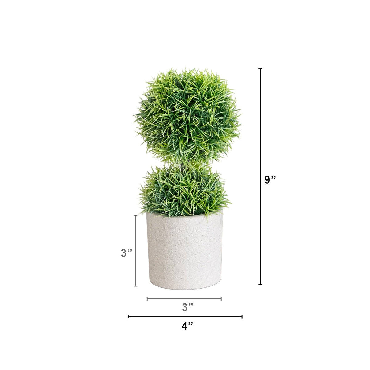 a small plant in a pot