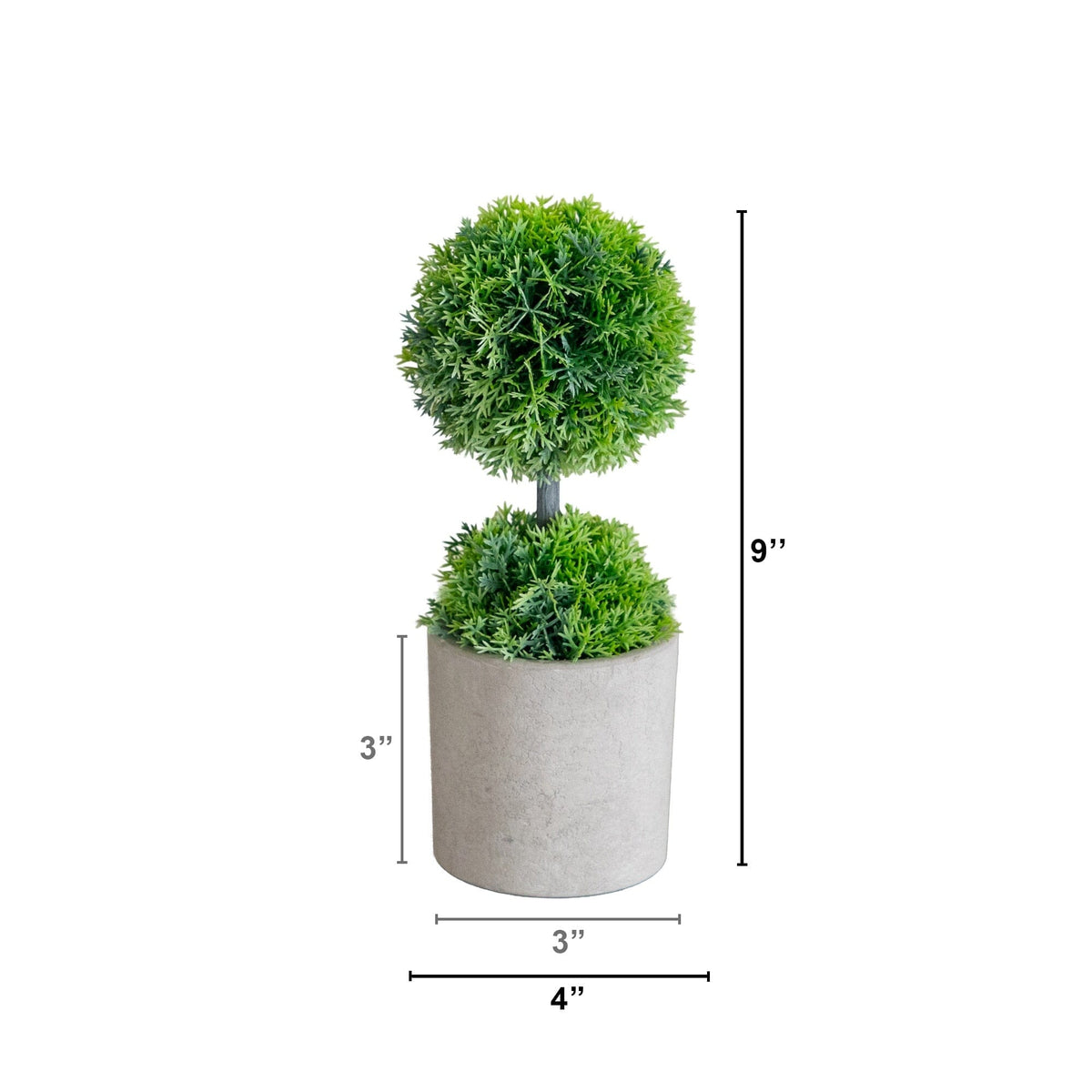 a plant in a pot