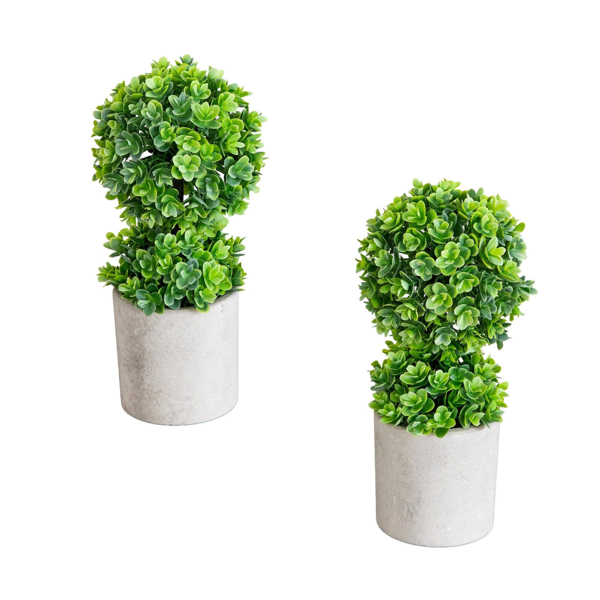 a couple of potted plants