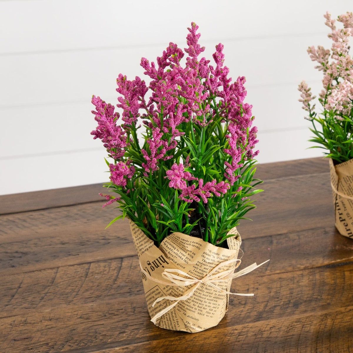 a plant in a pot