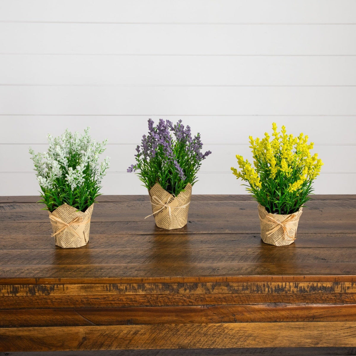 a group of flowers in pots on a table