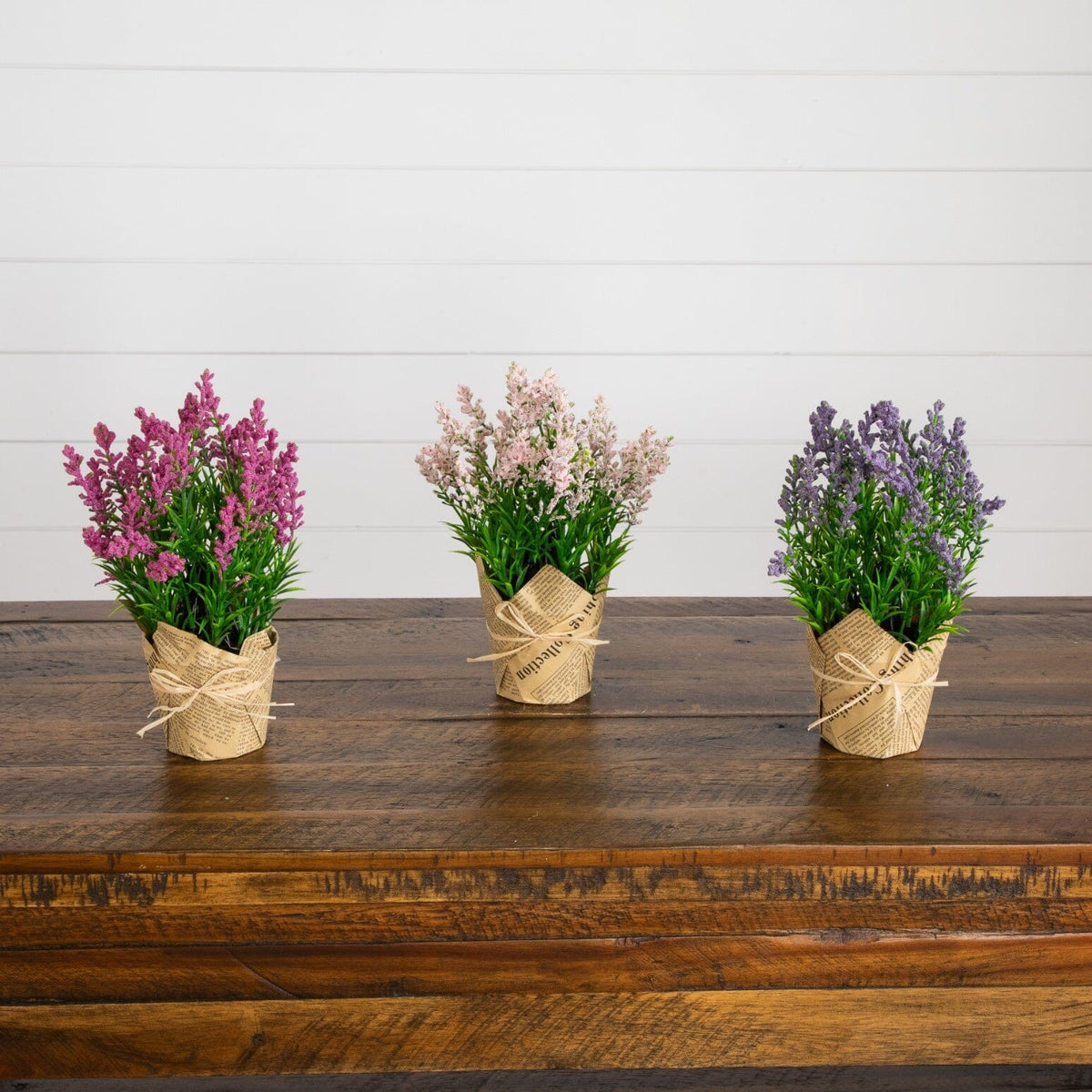 a group of flowers in pots on a table