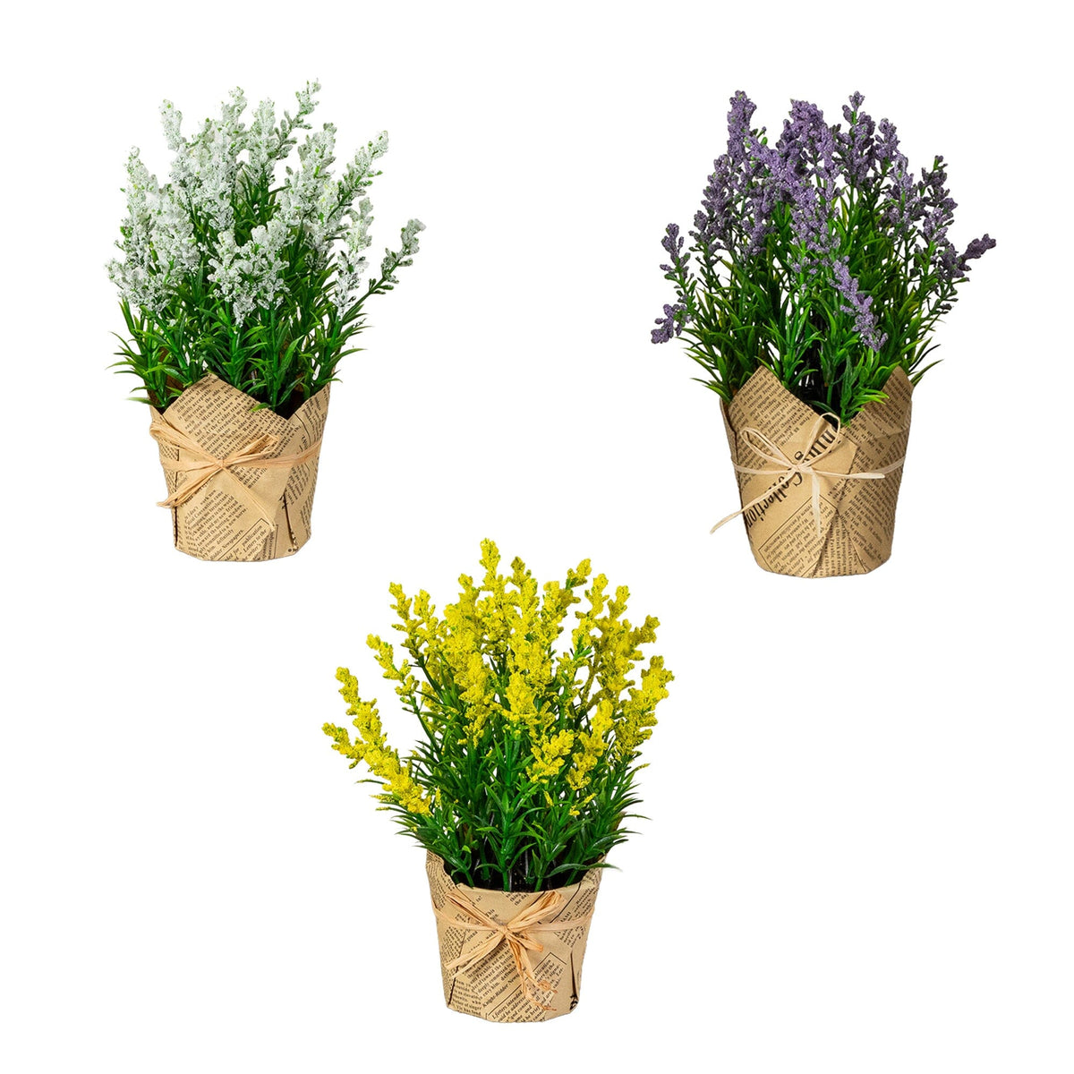 a group of flowers in pots