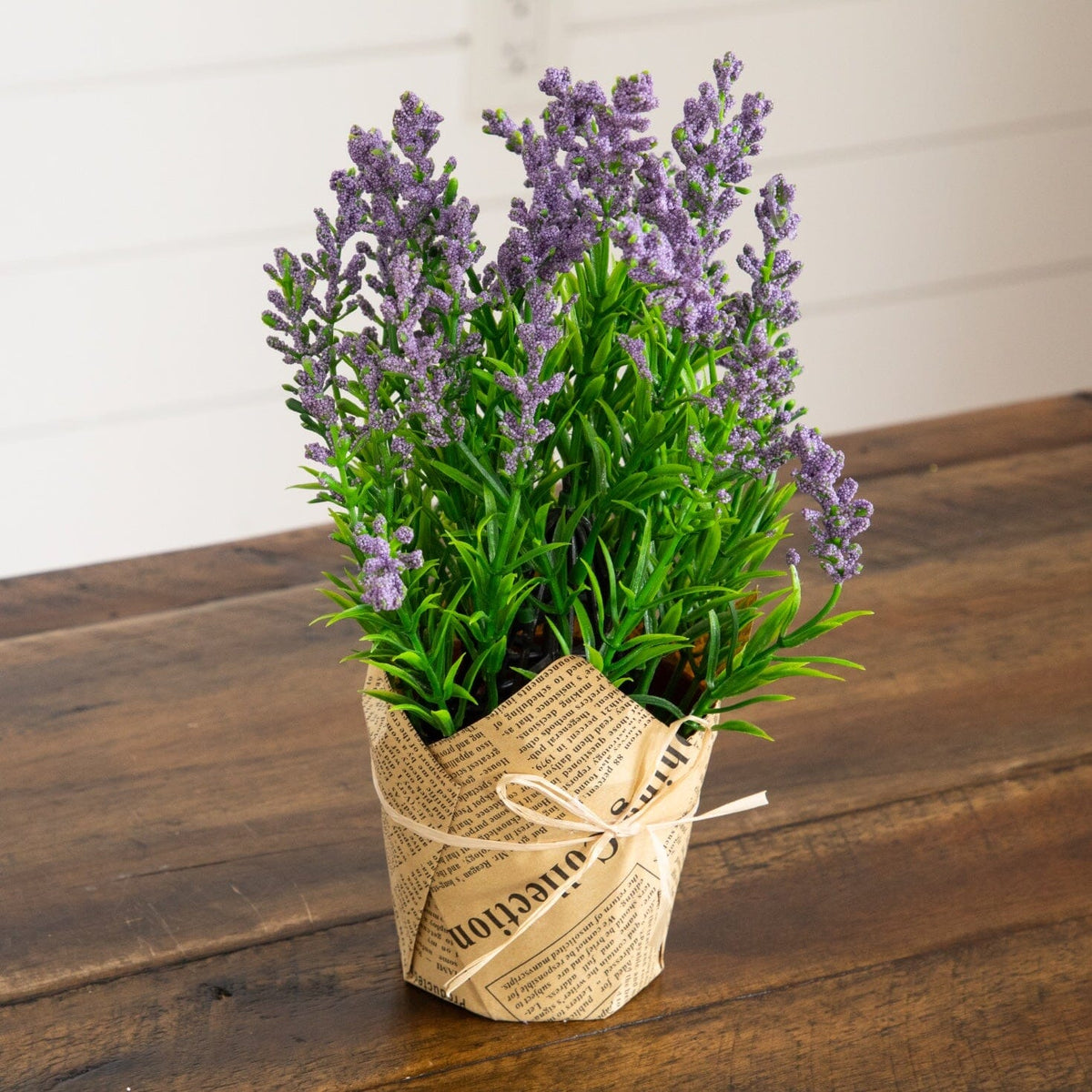 a potted plant with purple flowers