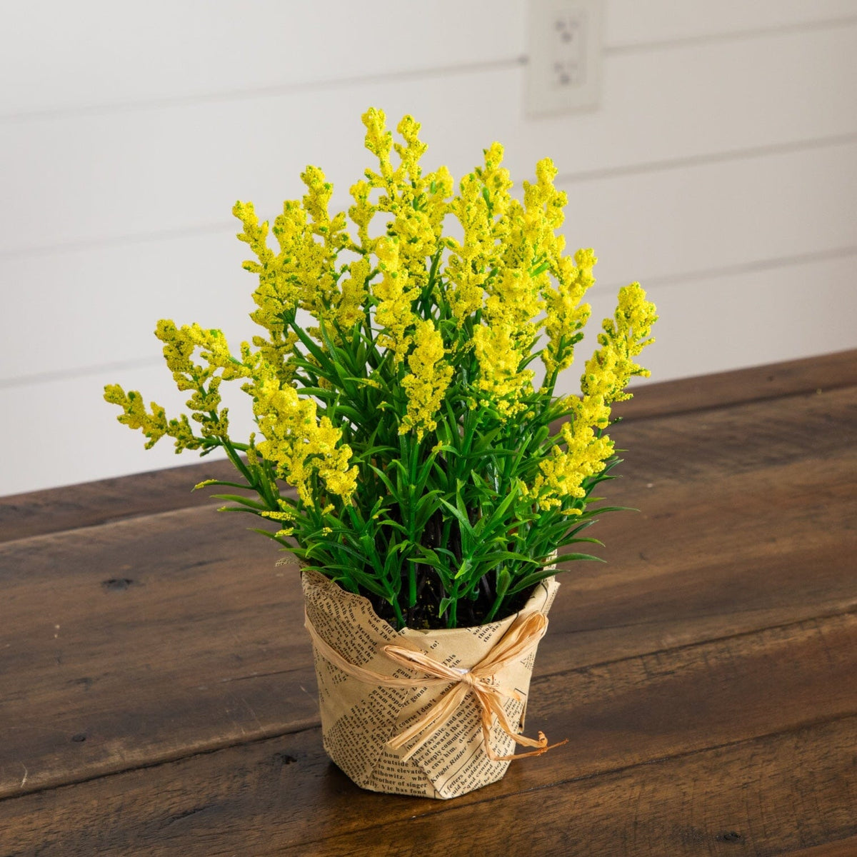 a plant in a pot