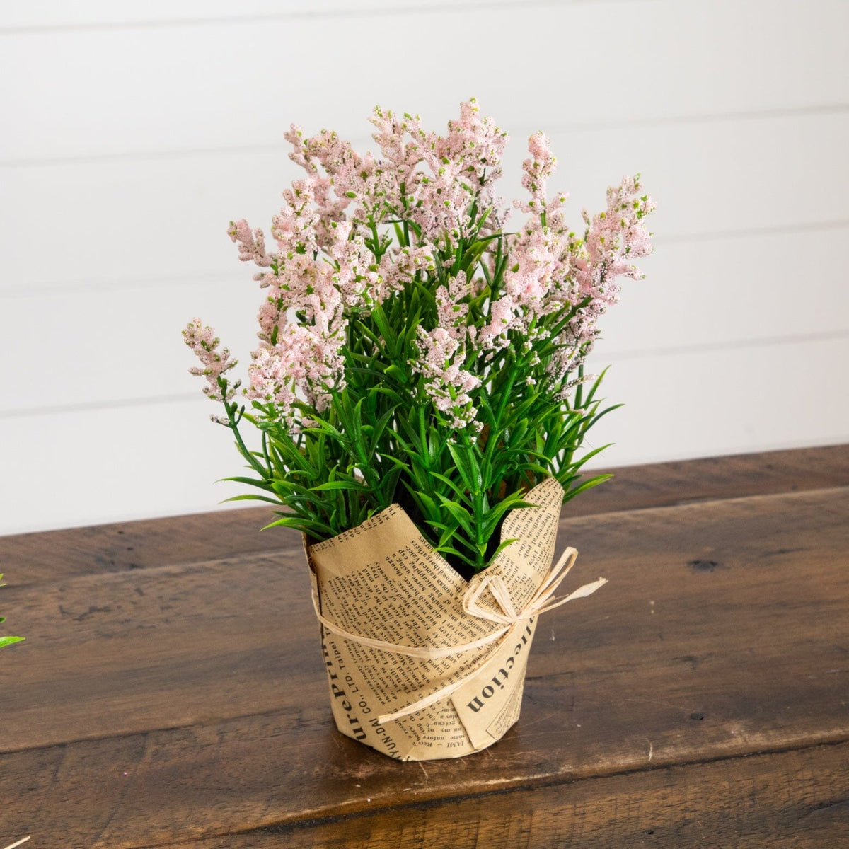 a plant in a pot